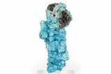 Vibrant Blue Hemimorphite - Congo #240664-1